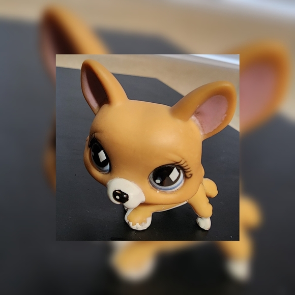 Authentic Littlest Pet Shop LPS #639 Welsh Corgi Puppy Dog Diamond Eyes 2007 - Picture 2 of 9